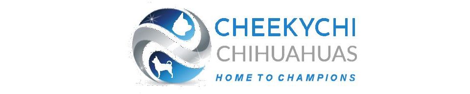 Cheekychi Chihuahuas